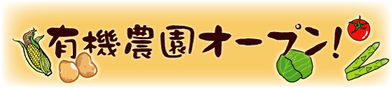 有機農園オープン