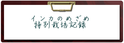 �_��̐����g�p�� 