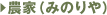 �_���i�݂̂��j